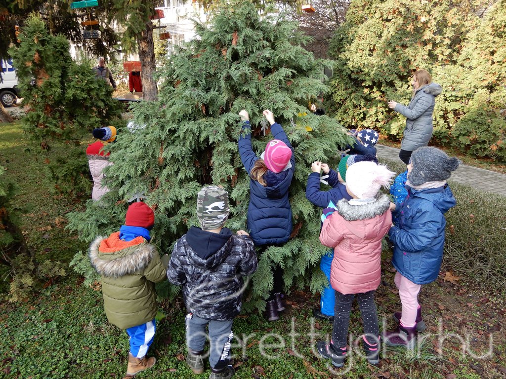 Fenyődíszítés a kórházban 07